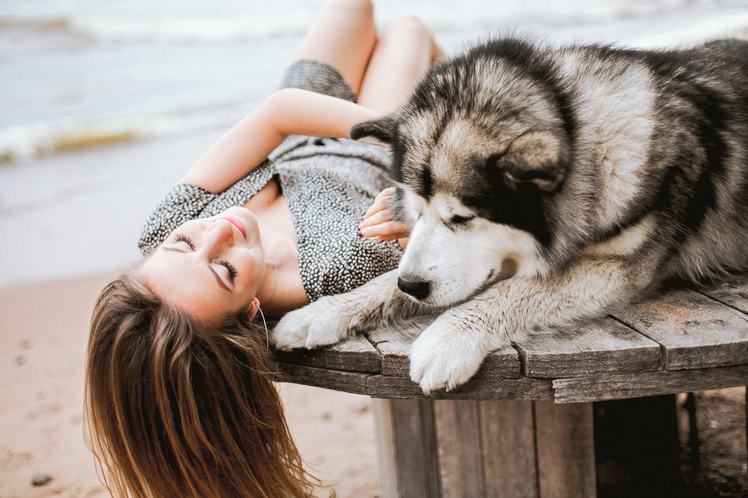 girl and malamute on a table