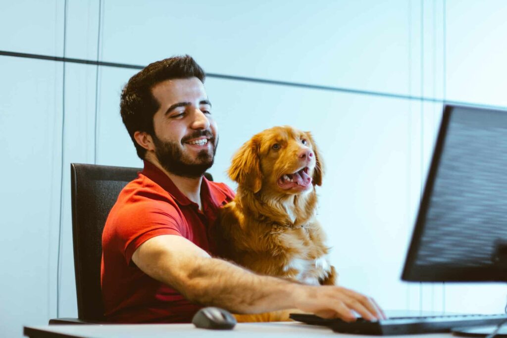 A man working at a computer with a dog in his lap.